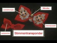 Stimmentransposer (Fliege)